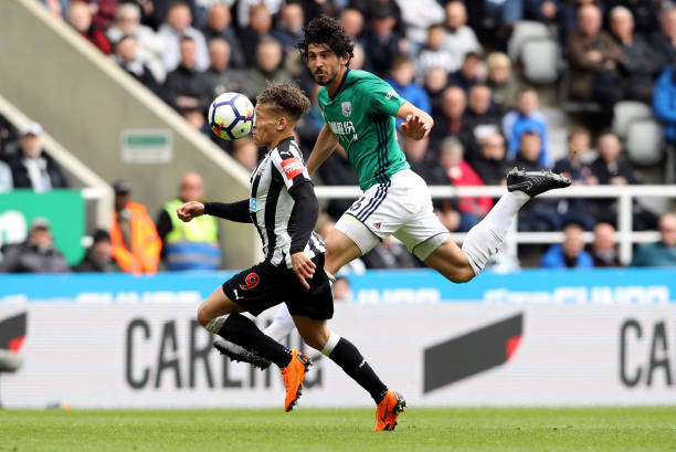 赋予了他敏 赋予了他敏